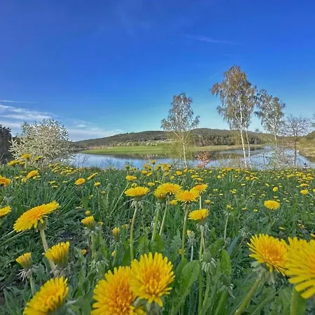 Seeblick - Tinyhouse Direkt Am * Neunburg vorm Wald